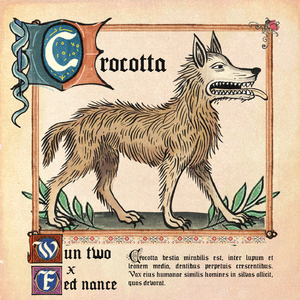crocotta