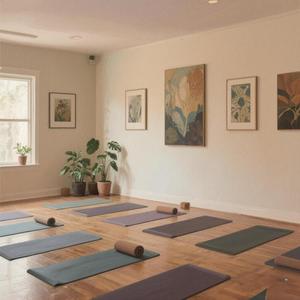 暮色海鸥浪声瑜伽纯音乐