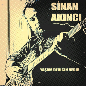 Yaşam Dediğin Nedir