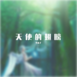 天使的翅膀