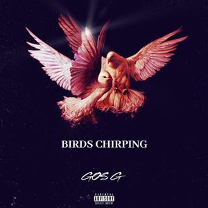 Birds Chirping