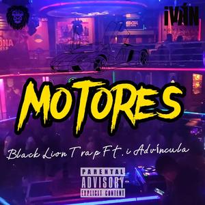 MOTORES