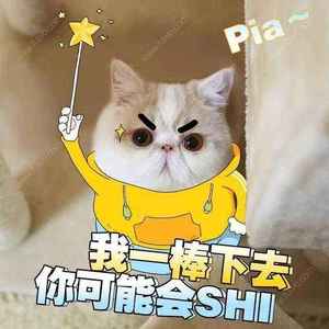 一个像夏天一个像秋天