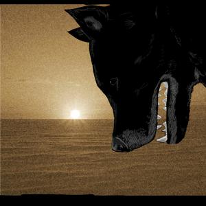 कभी नहीं, कभी-कभी, हमेशा, ो कध