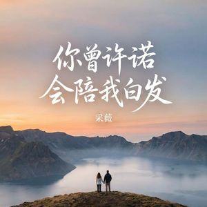 你曾许诺会陪我白发