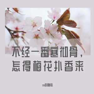 阳光不燥微风正好(Live)-yy