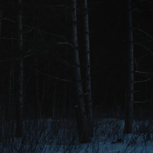 Hiver