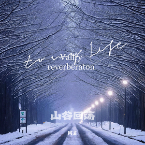 山谷回荡-Vallry reverberaton