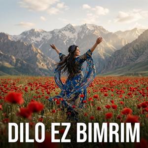 Dilo Ez bimrim