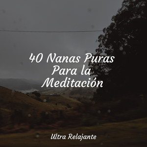 Solo Nosotros