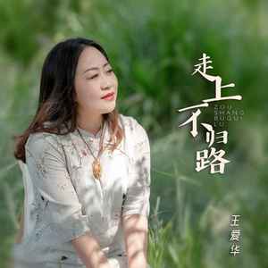 走上不归路 (DJ默涵版)