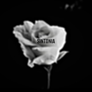 Sintonía