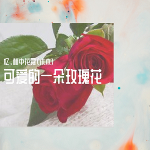 可爱的一朵玫瑰花