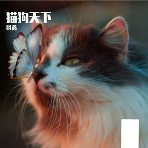 小猫缝补的世界