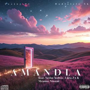 Amandla (feat. Sethu Yedwa, Liira ZA, Mzamo Ntweni & Badlalele Sk)