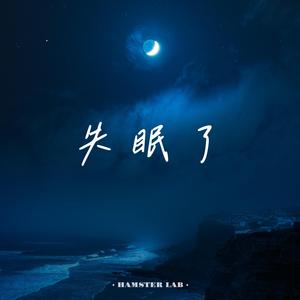 失眠了 (R&B氛围女声)