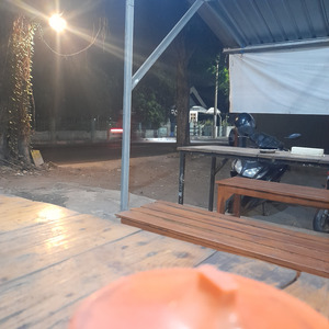 SPin of Dear Draknestis Ins