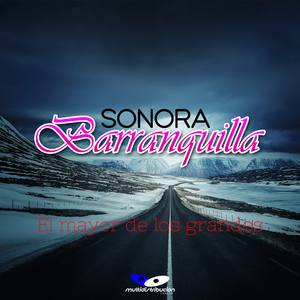Licencia