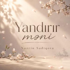 Yandırır məni