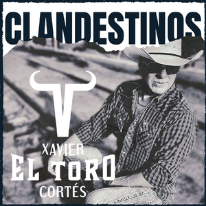 Clandestinos
