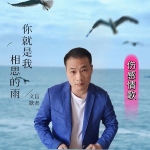 你就是我相思的雨 伴奏