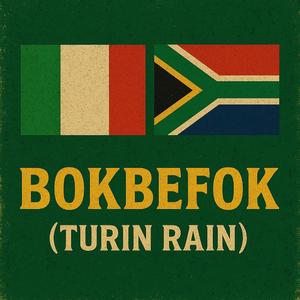 Turin Rain