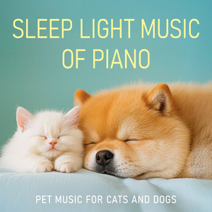 安静时光 (催眠流水虫鸣)