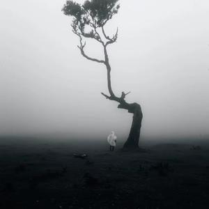 Cry For Me+Call Of Silence(进击的巨人)