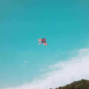 天空中的风筝 (5)