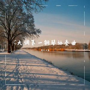 Piano Concerto in C Major:No.1 Allegro