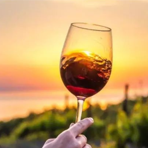 酒喝七分醉想你十分疼