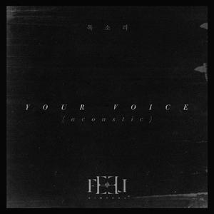 목소리(acoustic)