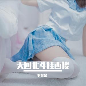 天回北斗挂西楼 (24)