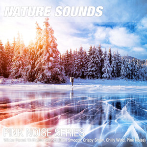 Winter Forest 1h Nature Sounds (Rain Smooth, Crispy Snow, Chilly Wind, Pink Noise)