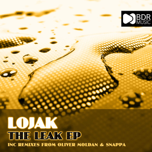 The Leak (Snappa Remix)