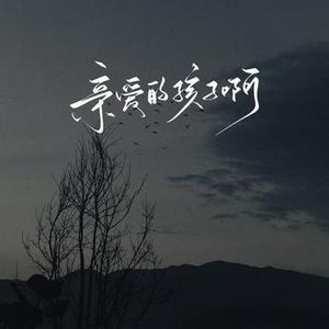 亲爱的孩子啊(是否追得上白马)