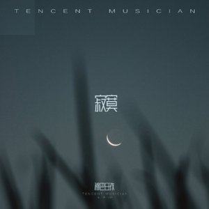 爱上你的那一晚