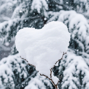 大雪大雪落在心间