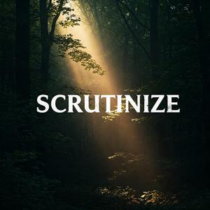 Scrutinize