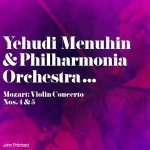 Violin Concerto No. 4 in D Major, K. 218: II. Andante cantabile