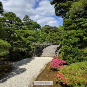 适合旅馆伤感的音乐