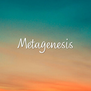 Metagenesis