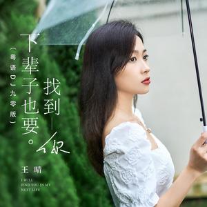 下辈子也要找到你 (粤语DJ九零版)