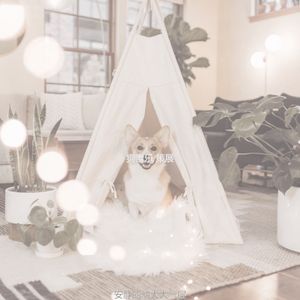 有趣可爱的狗情怀