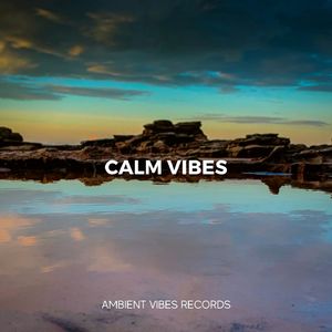 Implications of the Drake Equation