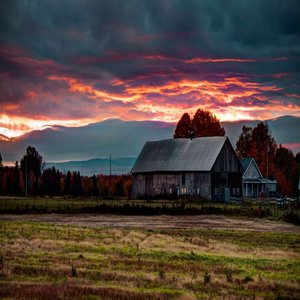 Electric Enchantment