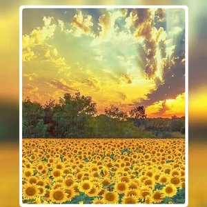 Guljamal-Mahamat-Kayrda san （阿迪力AD remix）