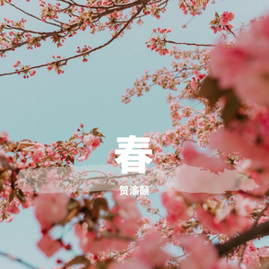 心桥（翻自 张真源）