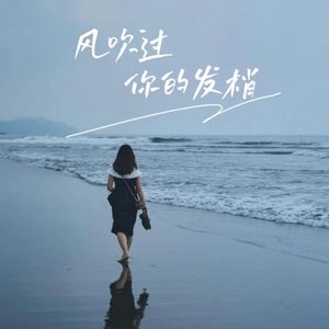 风吹过你的发梢