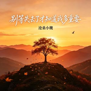 别等失去了才知道我多重要